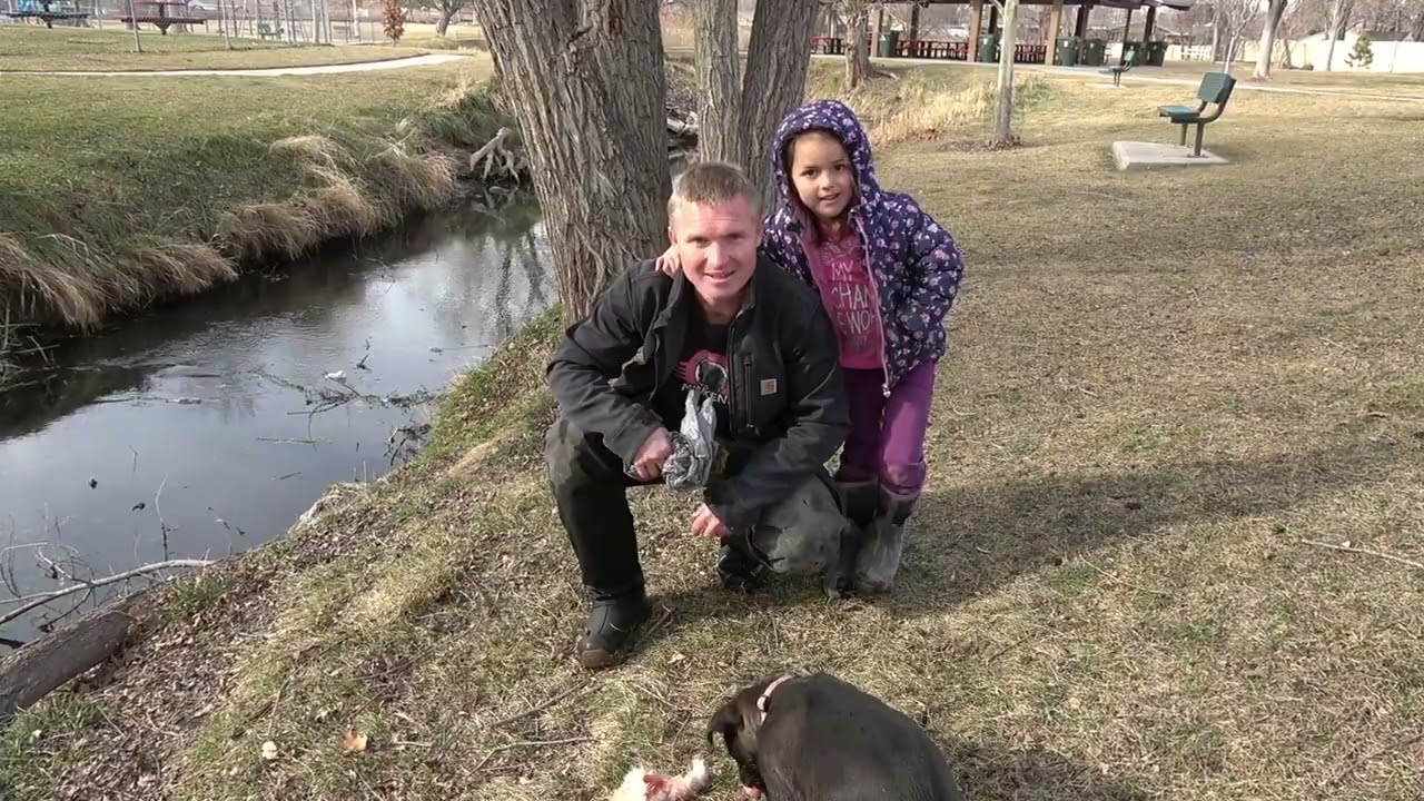 Grit and Ruger Finding Rats in the Park Training