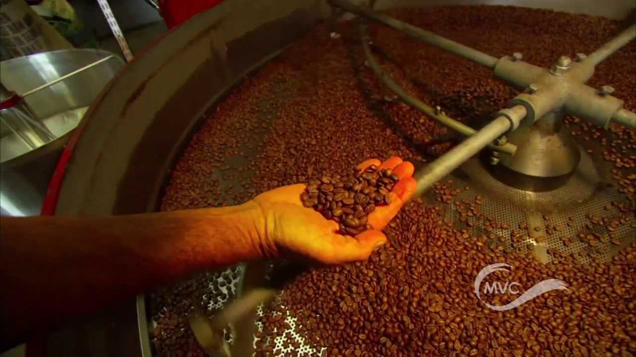 Maui Coffee Profile