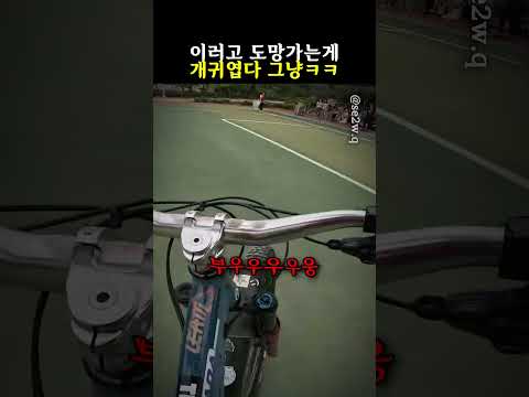 이러고 도망가는게 귀엽다ㅋㅋ