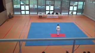 preview picture of video 'Taekwondo Pal-Jang Landes-DAN Prüfung16.12.2012'
