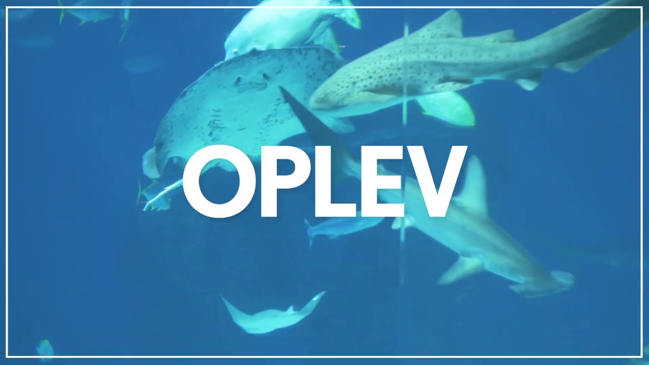 Kampganevideo version 2 #BrugDinBy