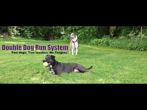 YouTube video about: How to make a 2 dog tie out?