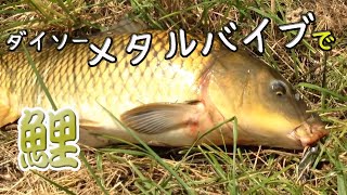 ダイソーメタルバイブで鯉を釣ってみた