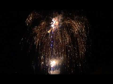 SCB940 - 100s 30mm Blue Tail to Gold Ti Willows