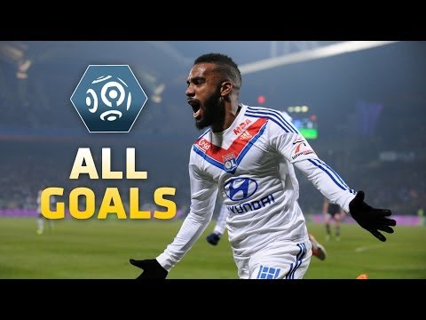 Ligue 1 - Week 18 : Goals compilation - 2013/2014