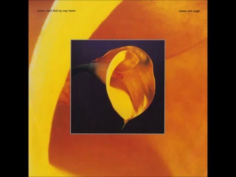 Shes A Universal Emptiness - Swans