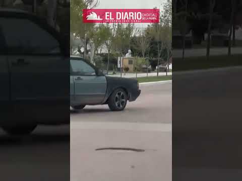 Avestruz suelto en Macachín: un inusual avistamiento que se suma al caso del jabalí