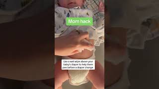 Download lagu Diaper changing hack mp3 Download lagu Diaper changing hack mp3
