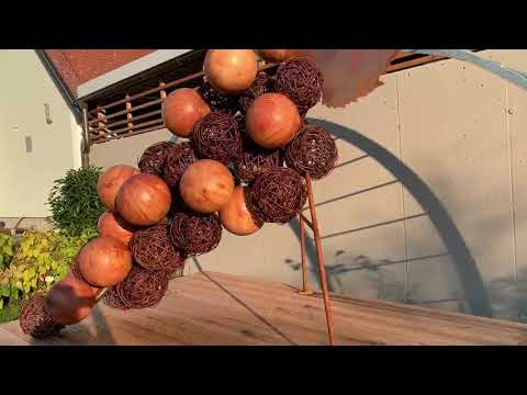 Riesen-Holz-Weintraube