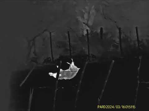 termico pard ft32-35f