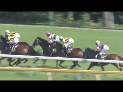 Yushun Himba (Japanese Oaks) G1 - 2020