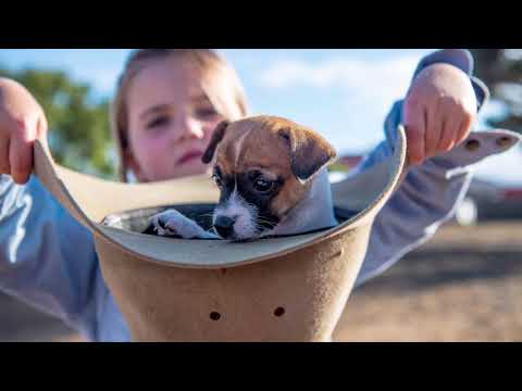 The Grower Behind the scenes