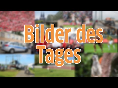 Bilder des Tages - 01.06.2016