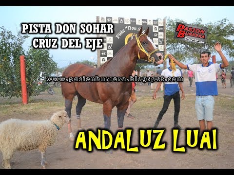 ANDALUZ LUAI, Pista Don Sohar - Cruz del Eje (08-03-2020)