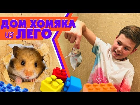 ДОМ ИЗ LEGO ДЛЯ ХОМЯКА / УЧИМ ХОМЯКА ТРЮКАМ / ЛЕГО ДОМИК