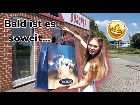 SHOPPING FOR YOUR FIRST HORSE! BUT YOU DECIDE!