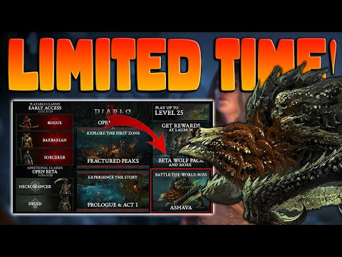 You NEED To Know THIS About The Diablo 4 Beta! | Diablo IV!