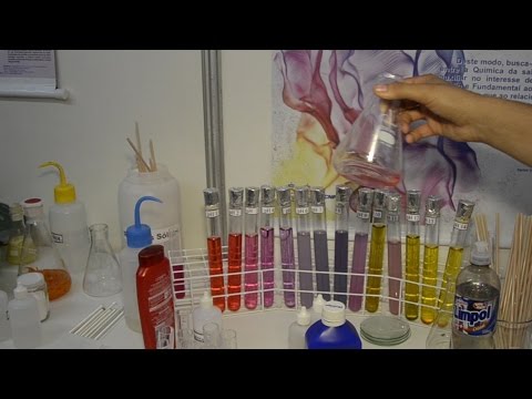 [Boletim SEPEX] Quimidex e Pibid