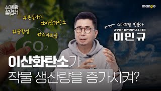 지구 온난화의 주범 이산화탄소가 작물 생산량을 증가시켜요??|스마트팜 설명서 EP. 11