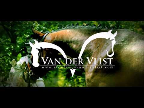 for sale casall x quidam de revel