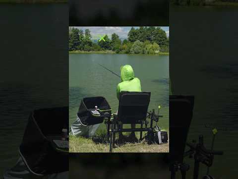 Fotel Delphin Reaxe film wideo
