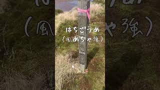 一人でたのしい登山 #shorts