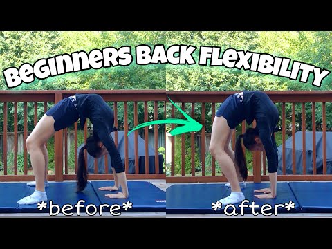 Get a FLEXIBLE BACK FAST -  Beginners back flexibility stretches | Sophie Crane