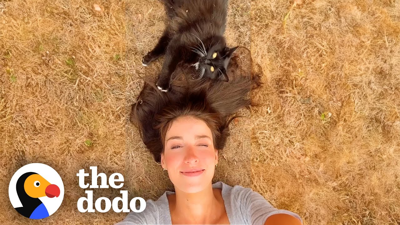Woman Tries For 3 Years To Win Over Feral Cat | The Dodo