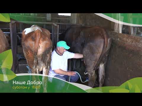 Naše dobro ep. 198 28.05.2022. NAJAVA