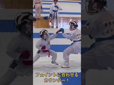 フェイントに合わせるカウンター！　#karate #shorts #kumite
