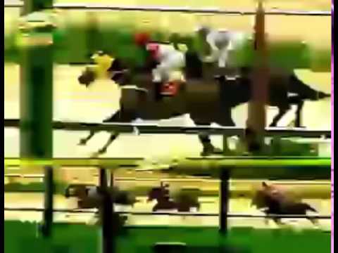 VALENCIA 2 CARRERA, VIERNES 07 DE AGOSTO DEL 2015