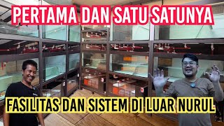 SULTAN BANGUN FASILITAS TAK LAZIM‼️PEMELIHARA IKAN WAJIB LIHAT SISTEM SEPERTI INI JADI GAK REPOT