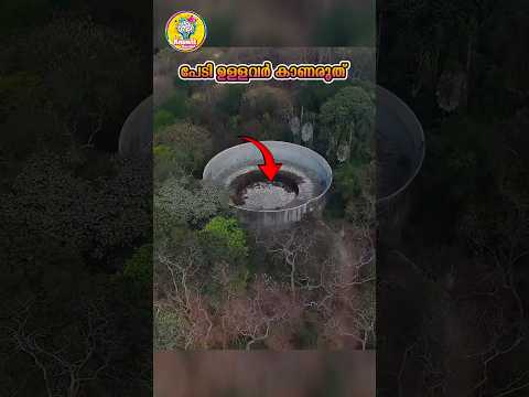 അവസാനം വരെ കാണുക #short #viral #shortvideo #youtubeshorts #knowitmalayalam #ytshortsindia #yt