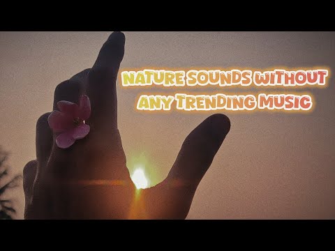 Nature sounds without any trending music || Village life || Sunanda