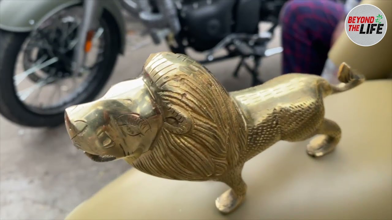How to fix Lion for Royal Enfield Byke | Beyond the life
