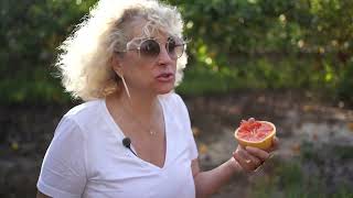 Thumbnail del capítulo