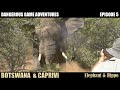 Elephant nearly killed us Hunting in Botswana