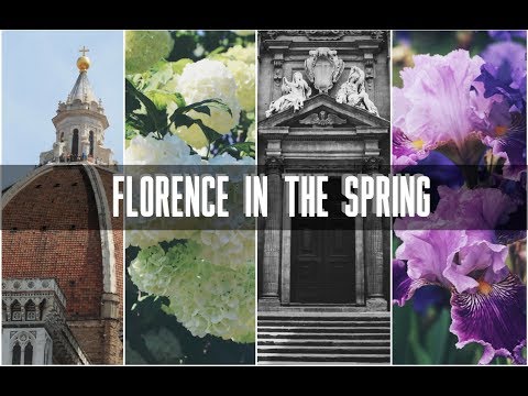 Florence In The Spring