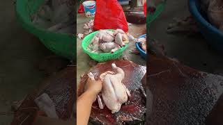 Download lagu Cara potong ayam untuk ayam panggang #food #shortvideo #carapotongayam mp3