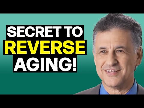 Neuroscientist Reveals The Secret To Long Term Brain Health | Dr. Dan Levitin