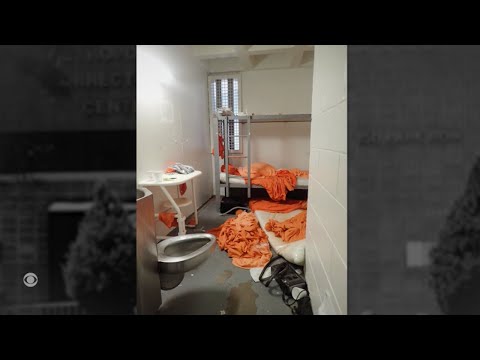 Cell where Jeffrey Epstein died never underwent proper inspection, experts say
