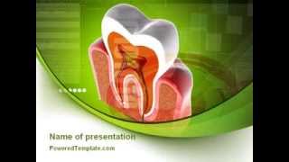 Tooth In Section PowerPoint Template by PoweredTemplate.com