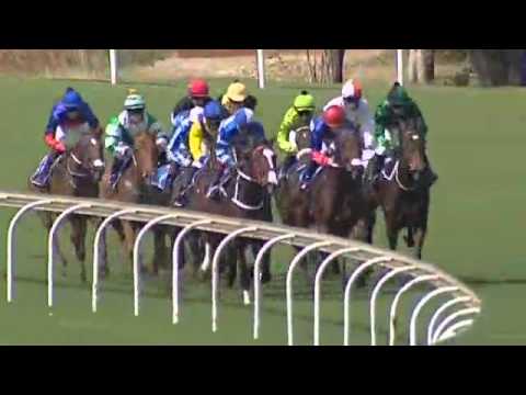 2015.04.25 Gerald Rosenberg Stakes (RSA) - Tamaanee