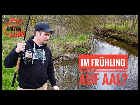 Im Frühling auf Aal? - Christians erster Versuch am Bach
