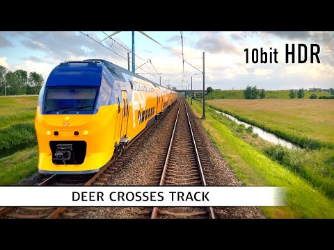 Experience the Thrill of Dutch Train Driving: Alkmaar to Amsterdam | Scenic SLT Journey