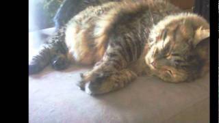 WHEN i LooK aT YoU   Earl Klugh