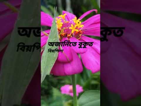 flower status ❤️🤩