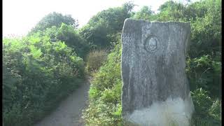 Sail Around The World