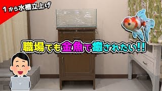 お勧めアクア用品ありますか??１から水槽立上げするぞ!!
