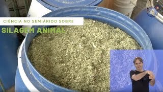 Ciência no Semiárido sobre Silagem Animal